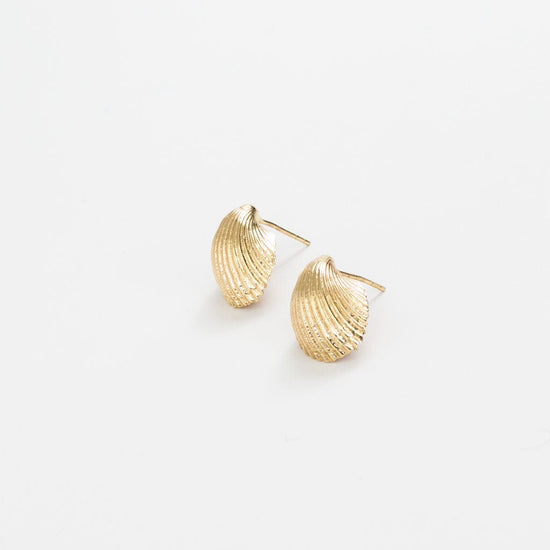 Pearl Cockle Shell Earrings Brass
