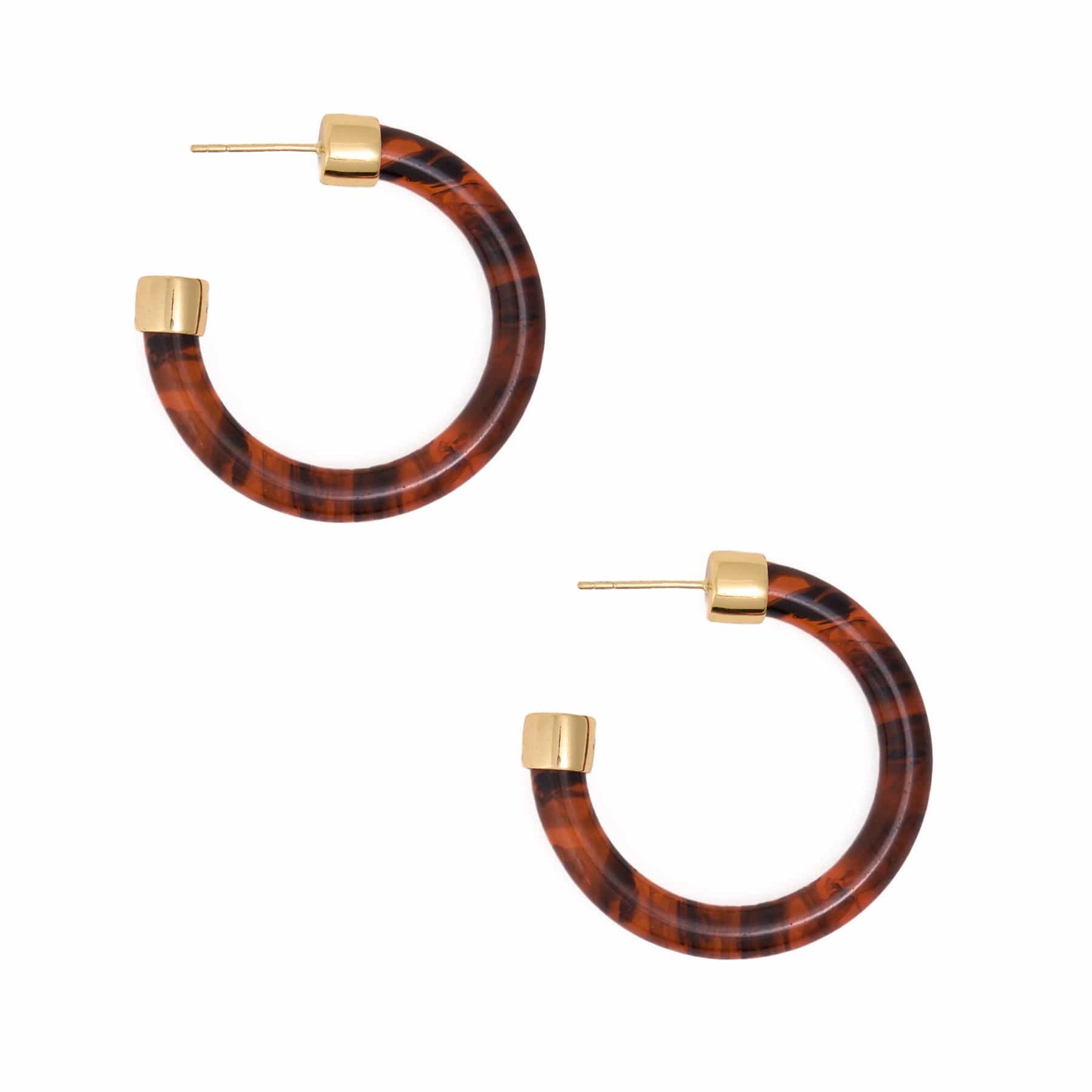 Winona Shiny Resin Hoop Earrings Tortoise Hoop